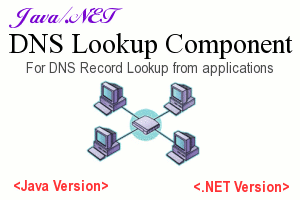 DNS Component